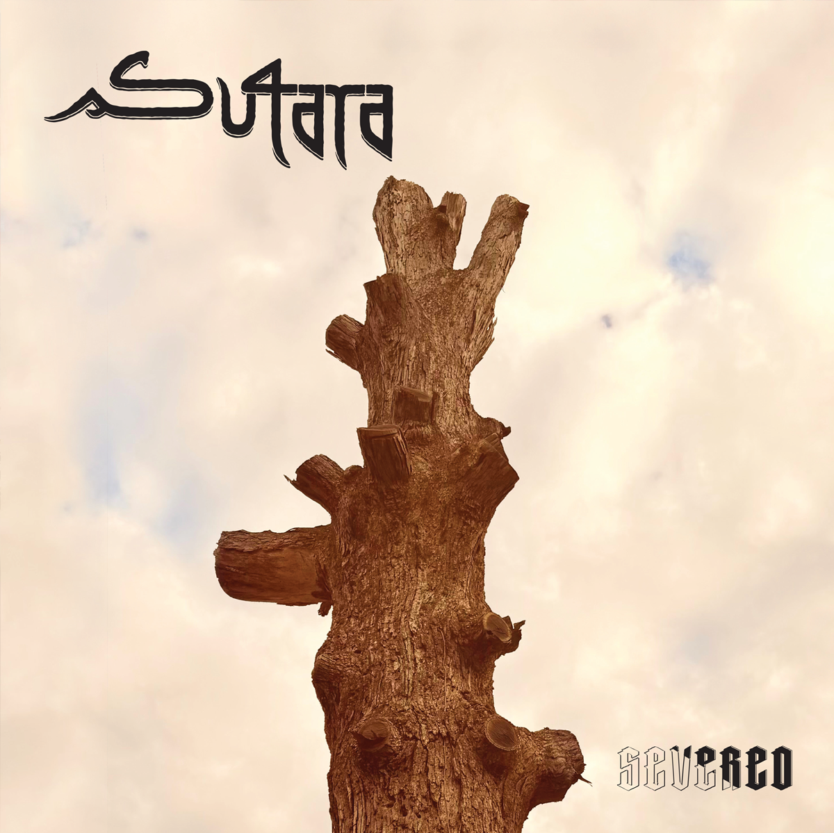 SSevered-FrontCoverWeb